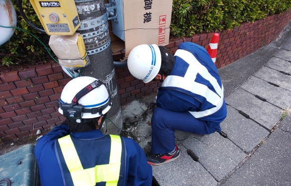 今年も繁忙期がやって参りました!!・・・